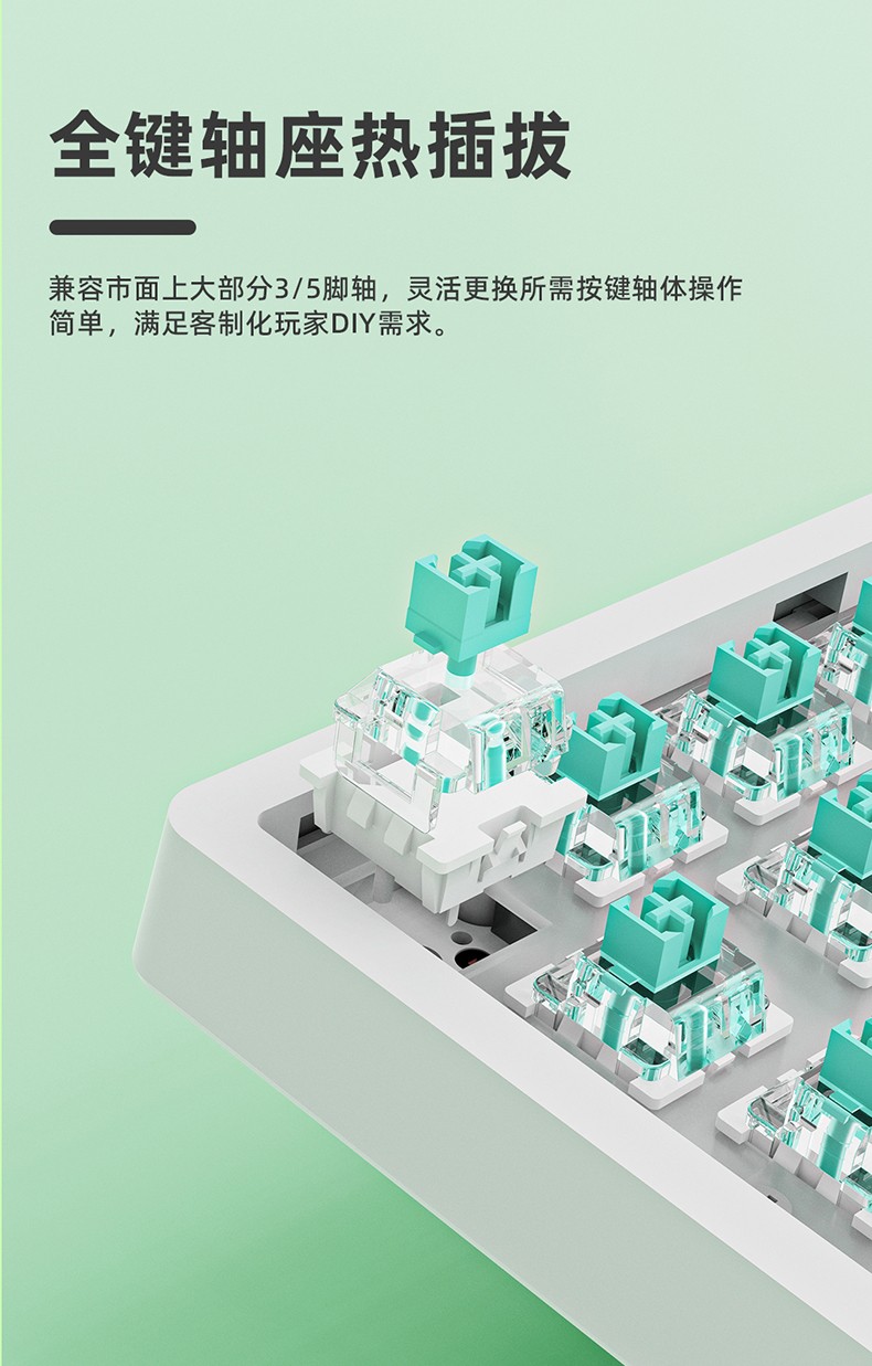 详情_06.jpg